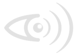 Geopolitical Risk INtelligence